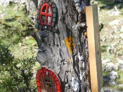 un bosque Jurásico - Sabinar y Cañón del río Caslilla; parque nacional pirineos agencia viajes alter